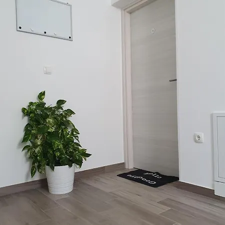 Studio Apartman Rubinic Lovran Exterior photo